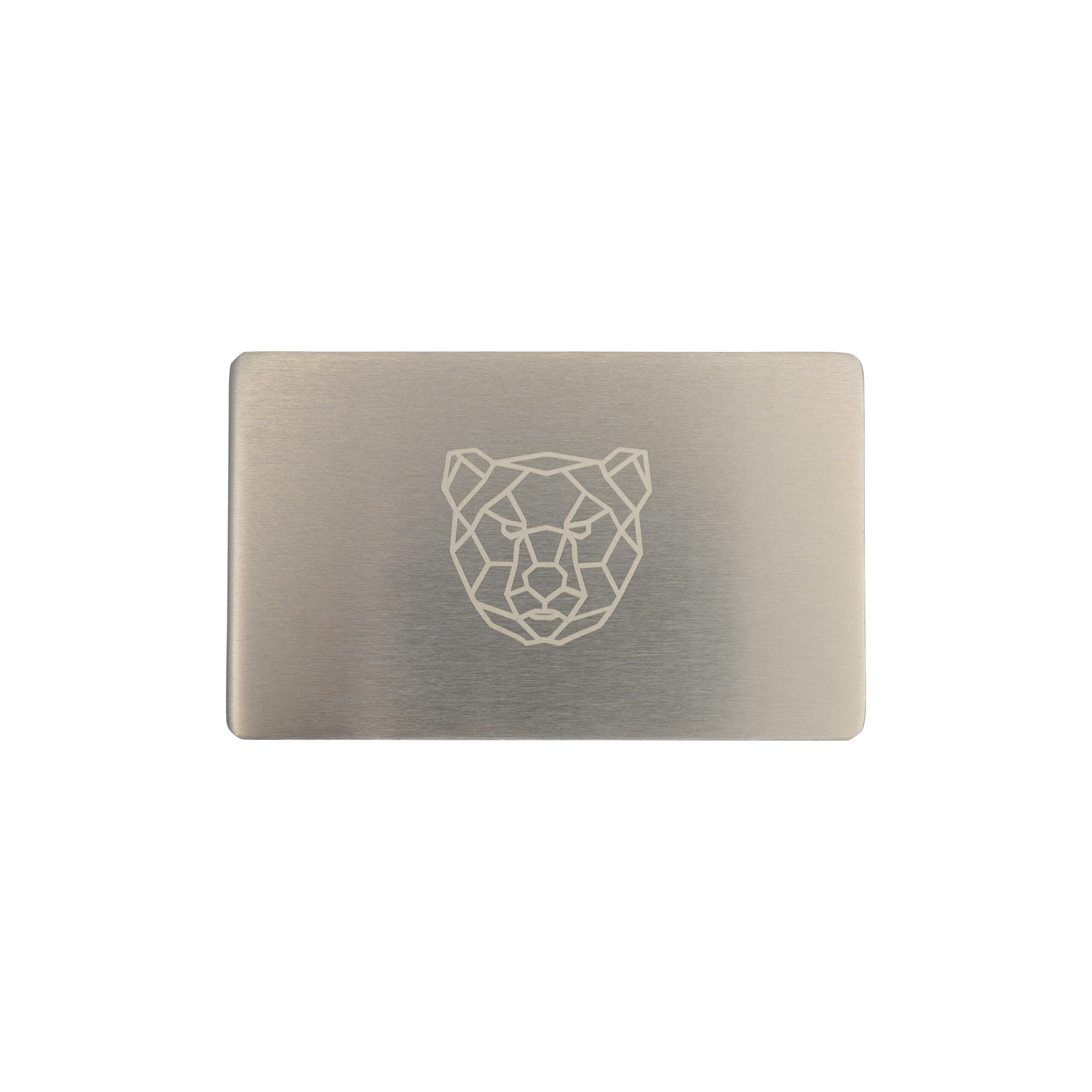 Метал для зберігання сід-фрази Bearish Mini Plate, пластина 1шт 55×90мм + гравірувальна ручка 2 Метал для зберігання сід-фрази Bearish Mini Plate, пластина 1шт 55×90мм + гравірувальна ручка 2
